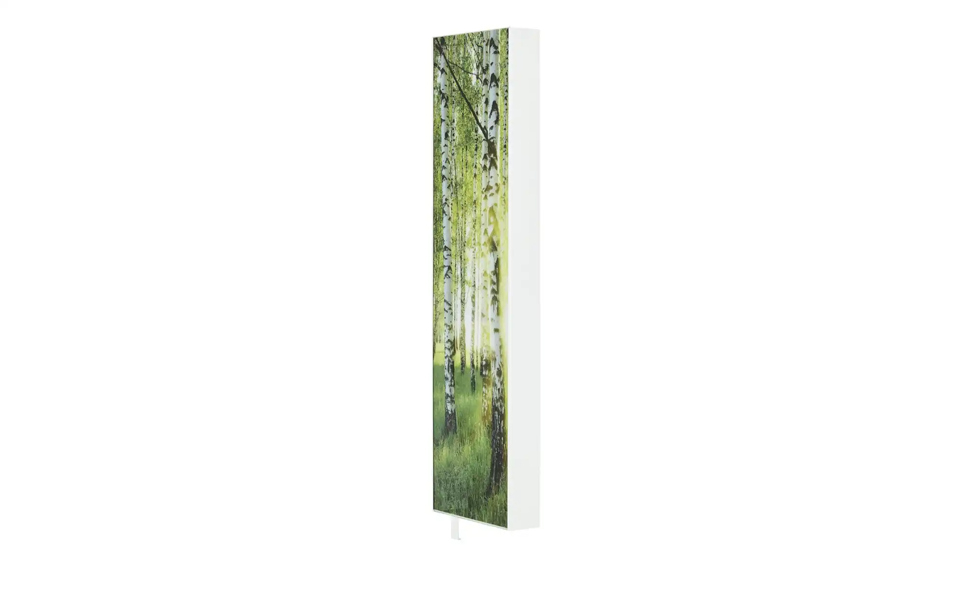 Mehrzweckschrank