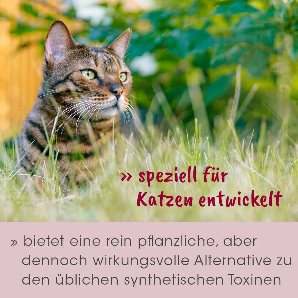 feliTATZ Ungeziefer- & Zeckenschutz feliTATZ AbwehrKonzentrat