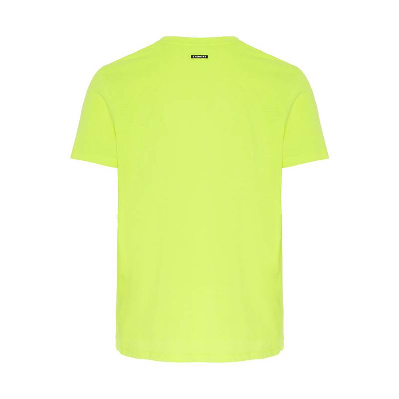 Chiemsee T-Shirt T-Shirt Herren
