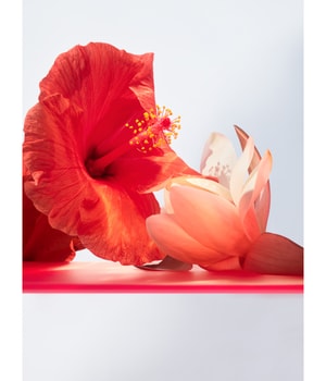 BVLGARI Omnia Coral Eau de Toilette-100 ml
