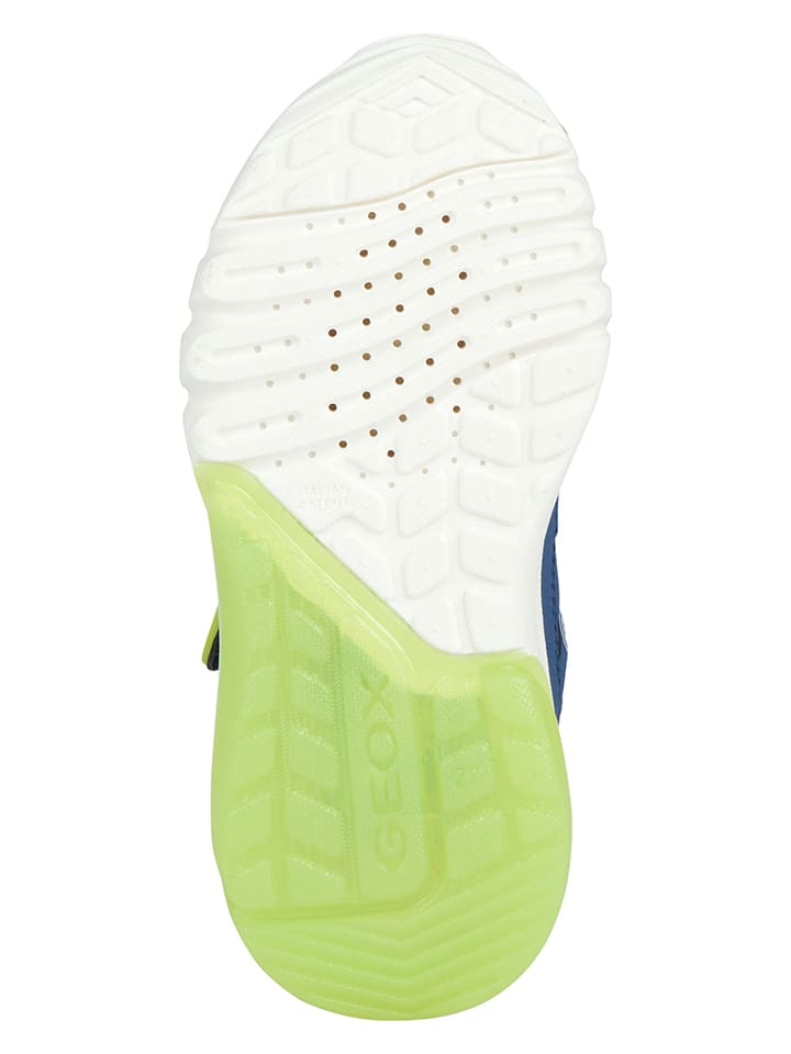 Geox Sneakers 