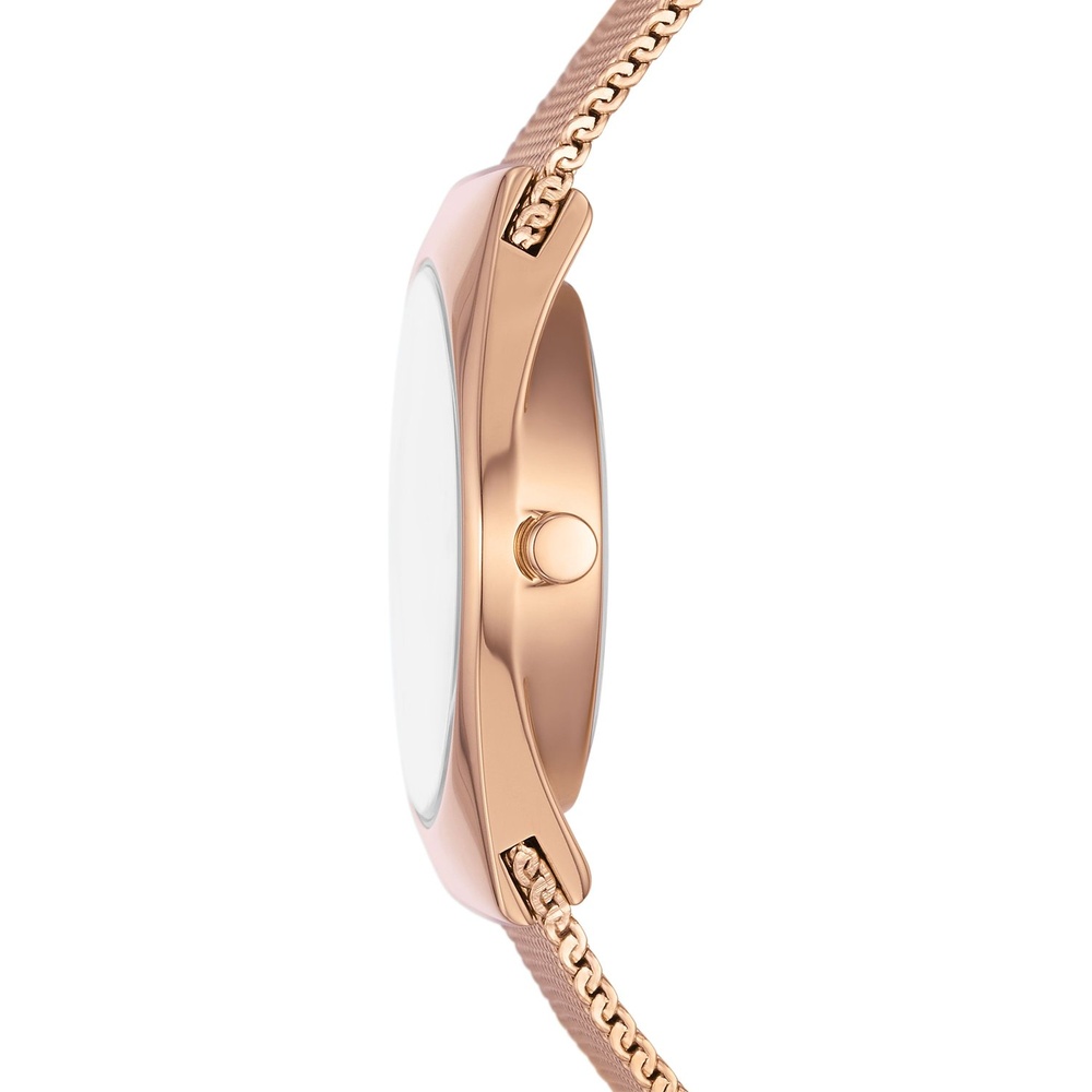 Skagen Montre pour femme Acier inoxydable Montre