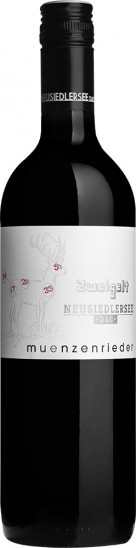 2022 Zweigelt Neusiedlersee DAC trocken - Weingut Münzenrieder