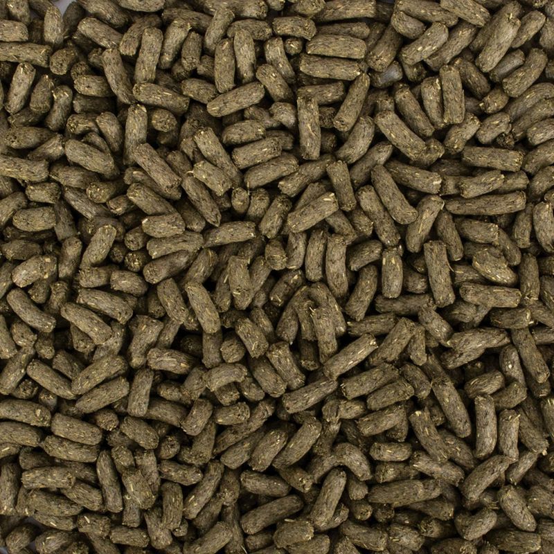 Tropifit All in 1 Chinchila & Degu zu TOP-Preisen