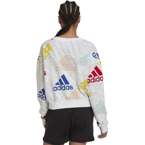 DAMEN SWEATSHIRT W BLUV Q3 SWT G