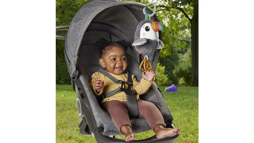 Fisher-Price Flatter Tukan To-Go