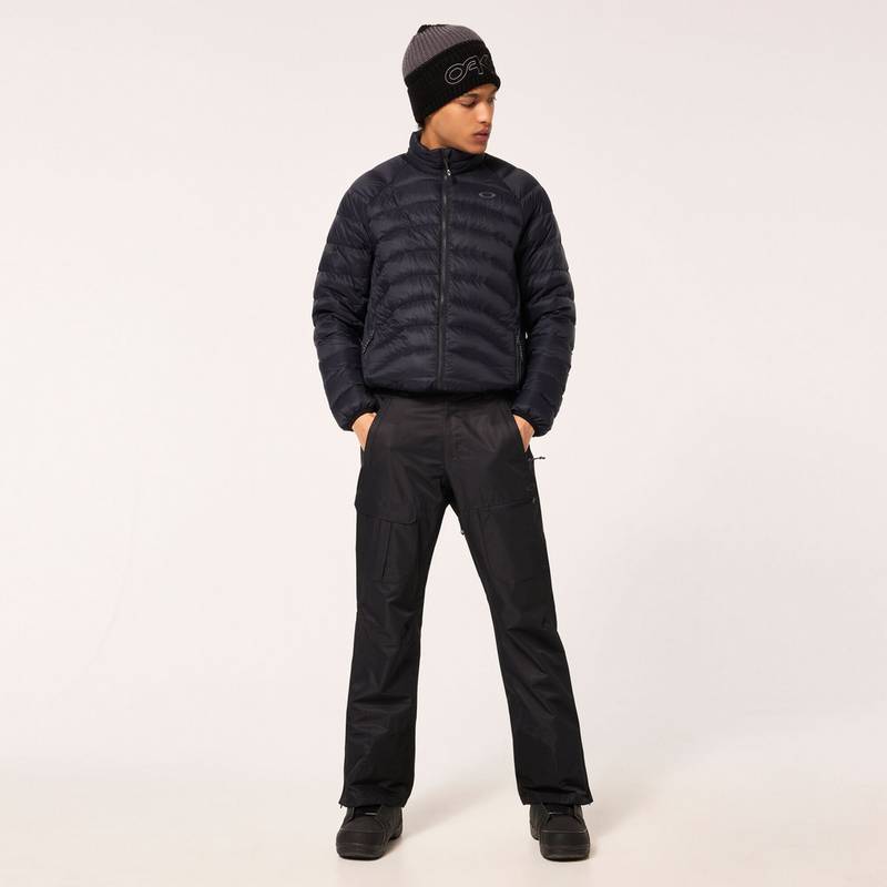Oakley DIVISIONAL CARGO Snowboardhose Herren