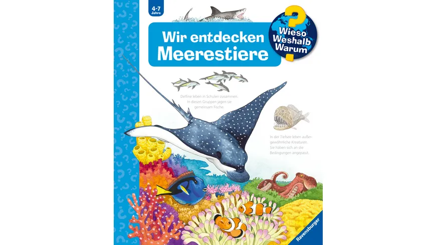 Wieso? Weshalb? Warum? (27) Wir entdecken Meerestiere