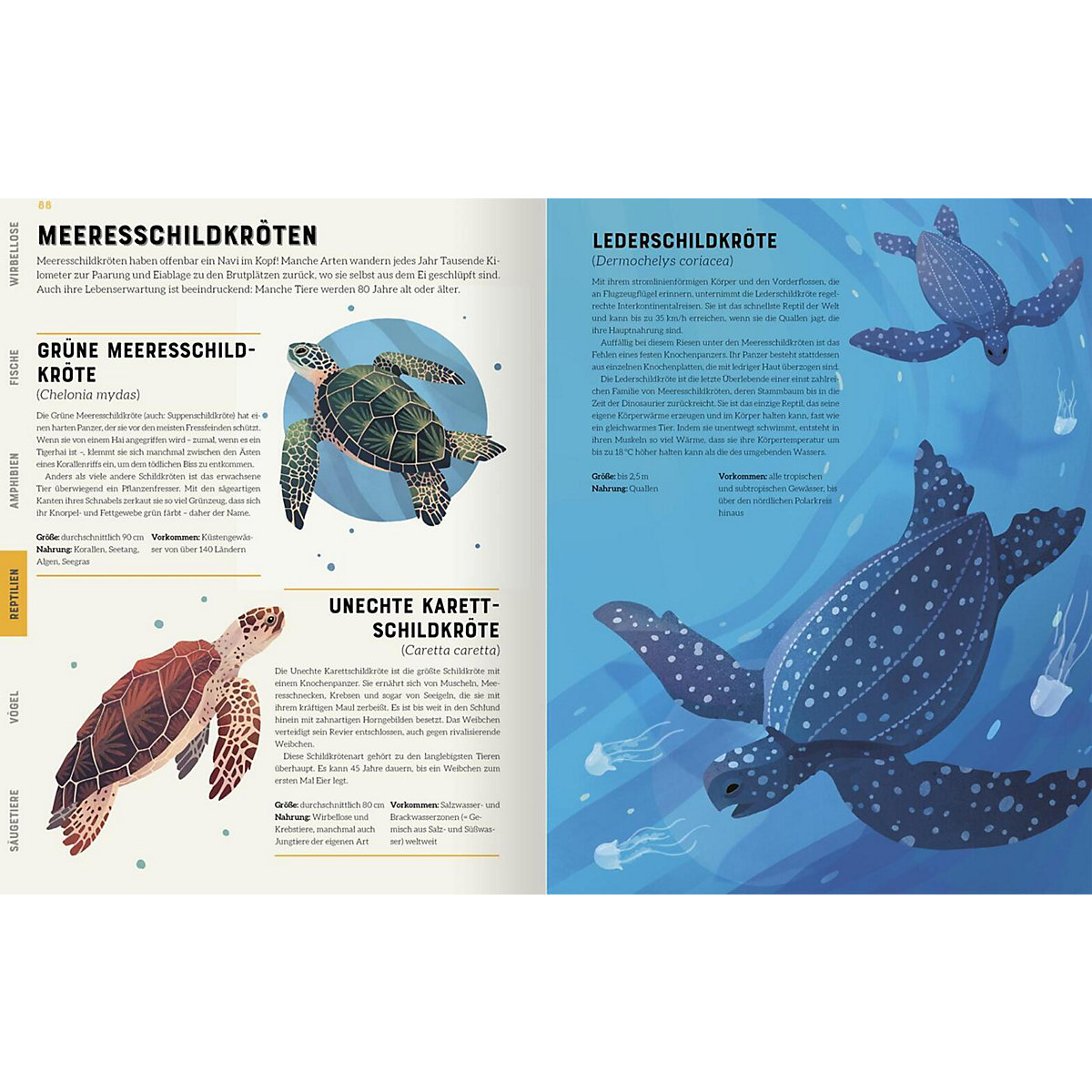Das große Lexikon der Tiere