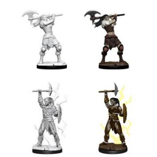 Female Goliath Barbarian: D&D Nolzurs Marvelous Miniatures