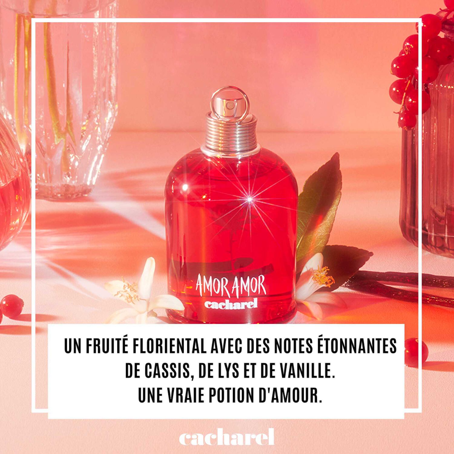 Cacharel Amor Amor Eau de Toilette