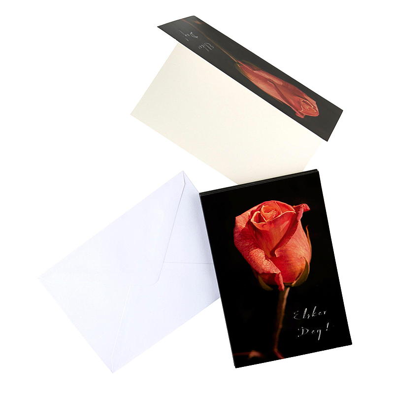 Kort en rød rose