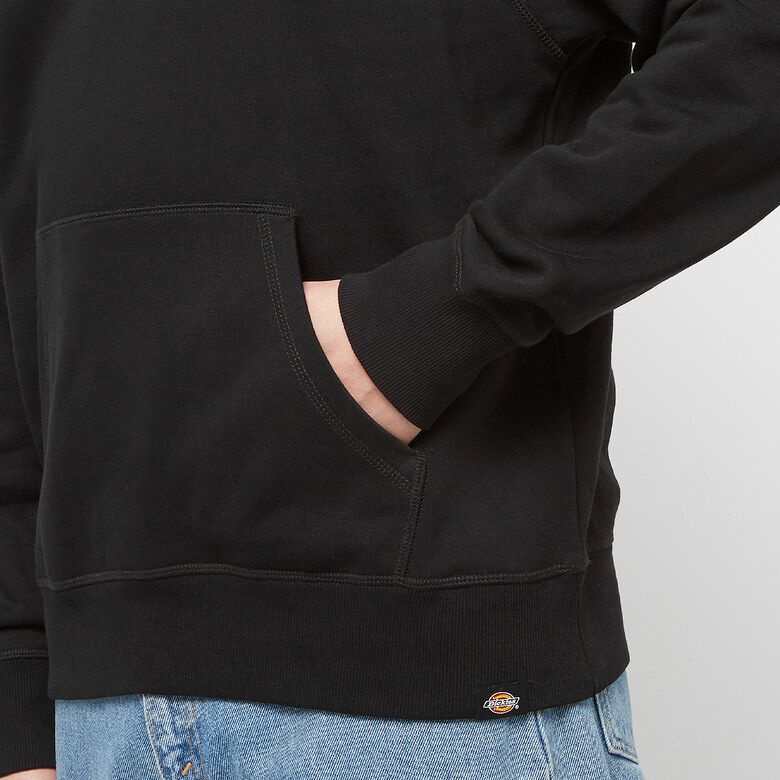 Dickies Millersburg Hoodie black Black