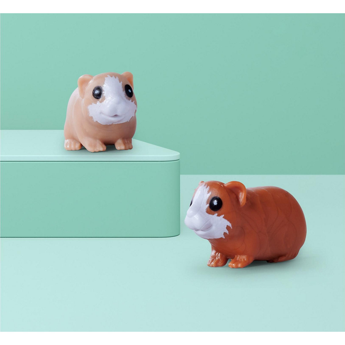 Evi Love Guinea Pigs
