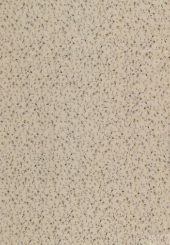 FRAAS Stola in Millefleurs-Design aus Polyester