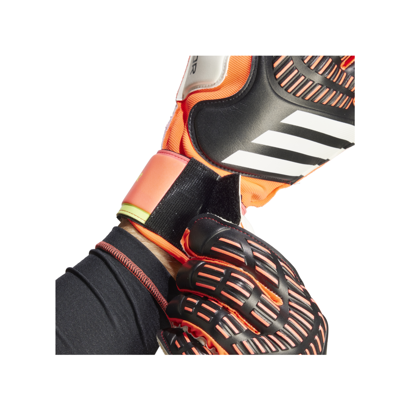 adidas Predator Match Torwarthandschuhe