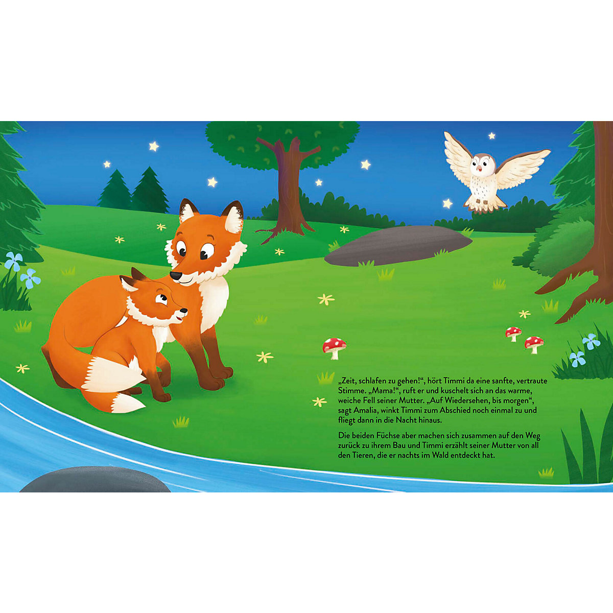 Mit Timmi Fuchs bei Nacht im Wald (Mit UV-Licht-Taschenlampe)