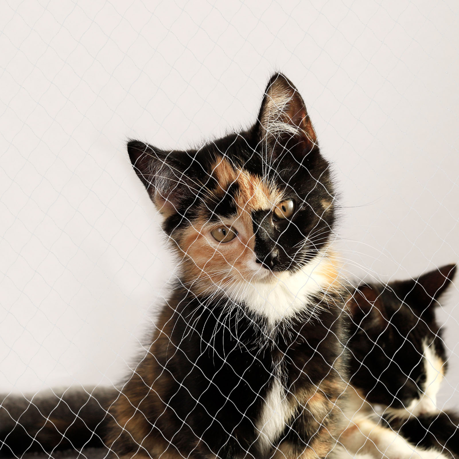 Lionto Schutznetze Lionto Katzennetz inkl. Befestigung