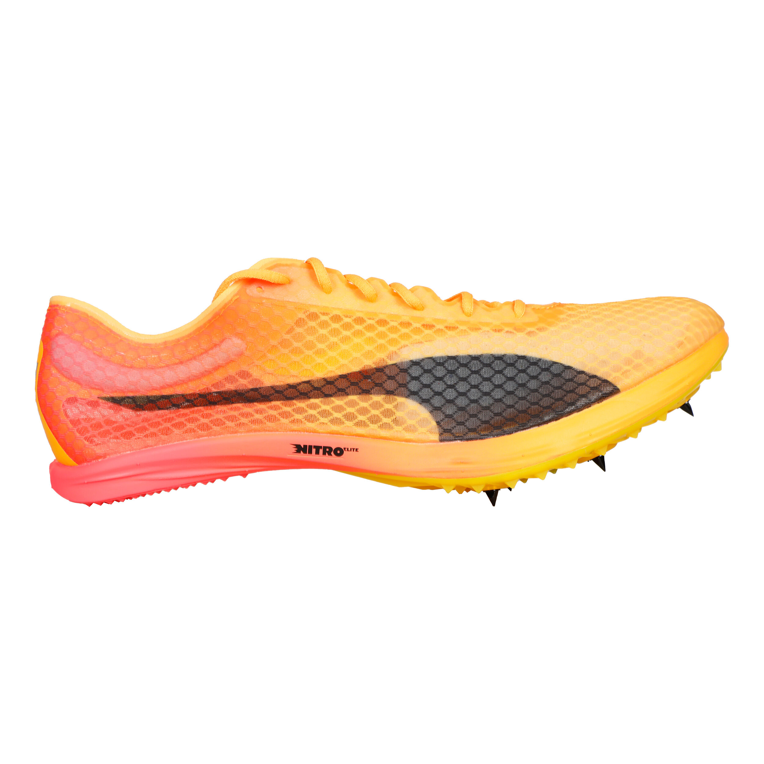 EvoSPEED Distance Nitro Elite+ 4 Spikeschuh - Orange, Schwarz