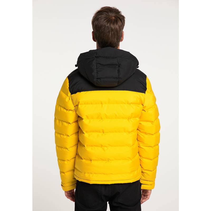 Icebound Blouson Herren