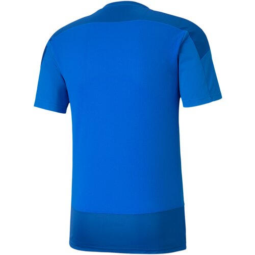 HERREN FANTRIKOT TEAMGOAL 23 TRAINING JERSE