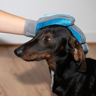 Fellpflege Handschuh