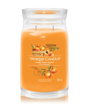Yankee Candle Farm Fresh Peach Duftkerze-368 g