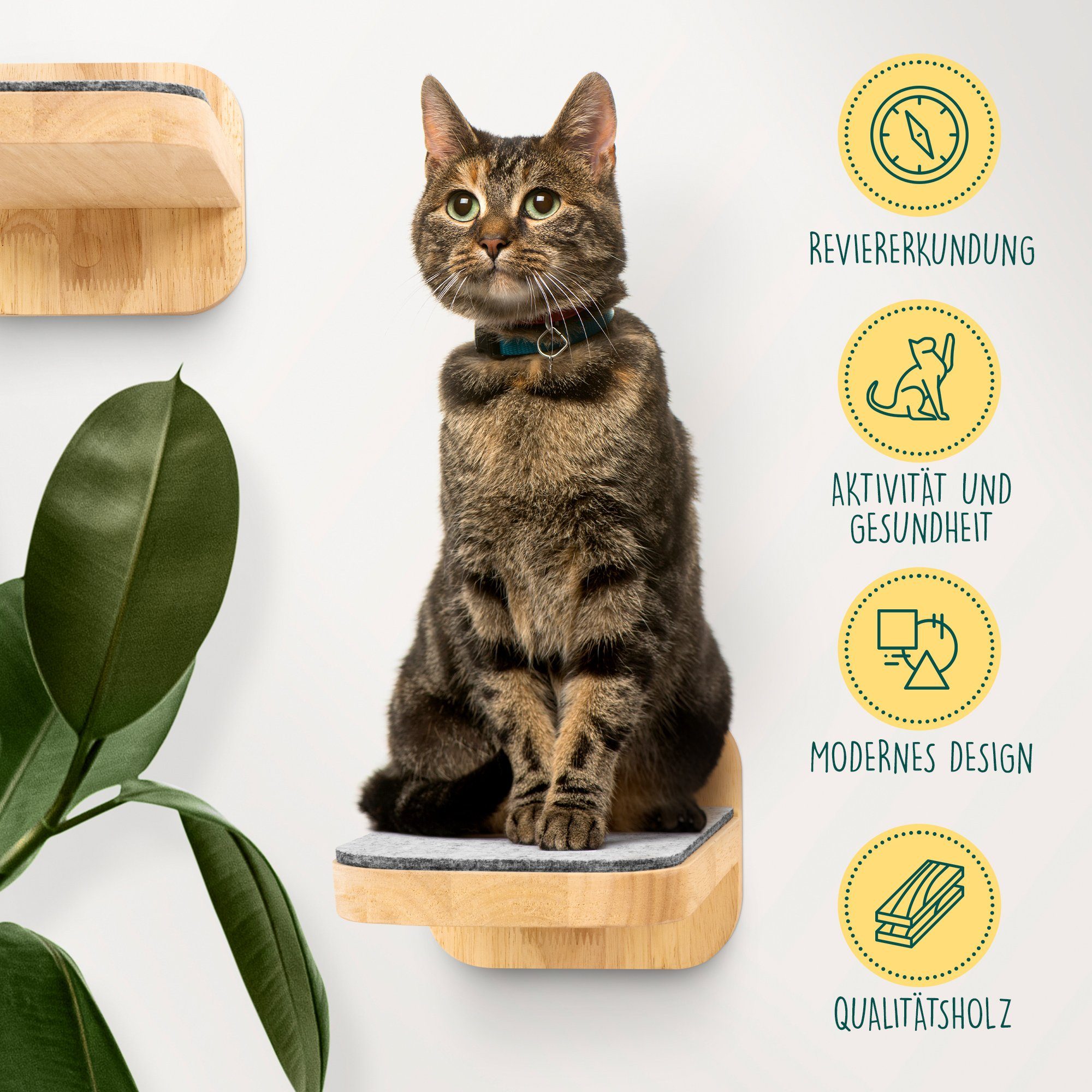 Happypet Katzen-Kletterwand CCLS, Katzentreppen 3er-Set - Designer Catwalk, Größe M 22 x 15 cm