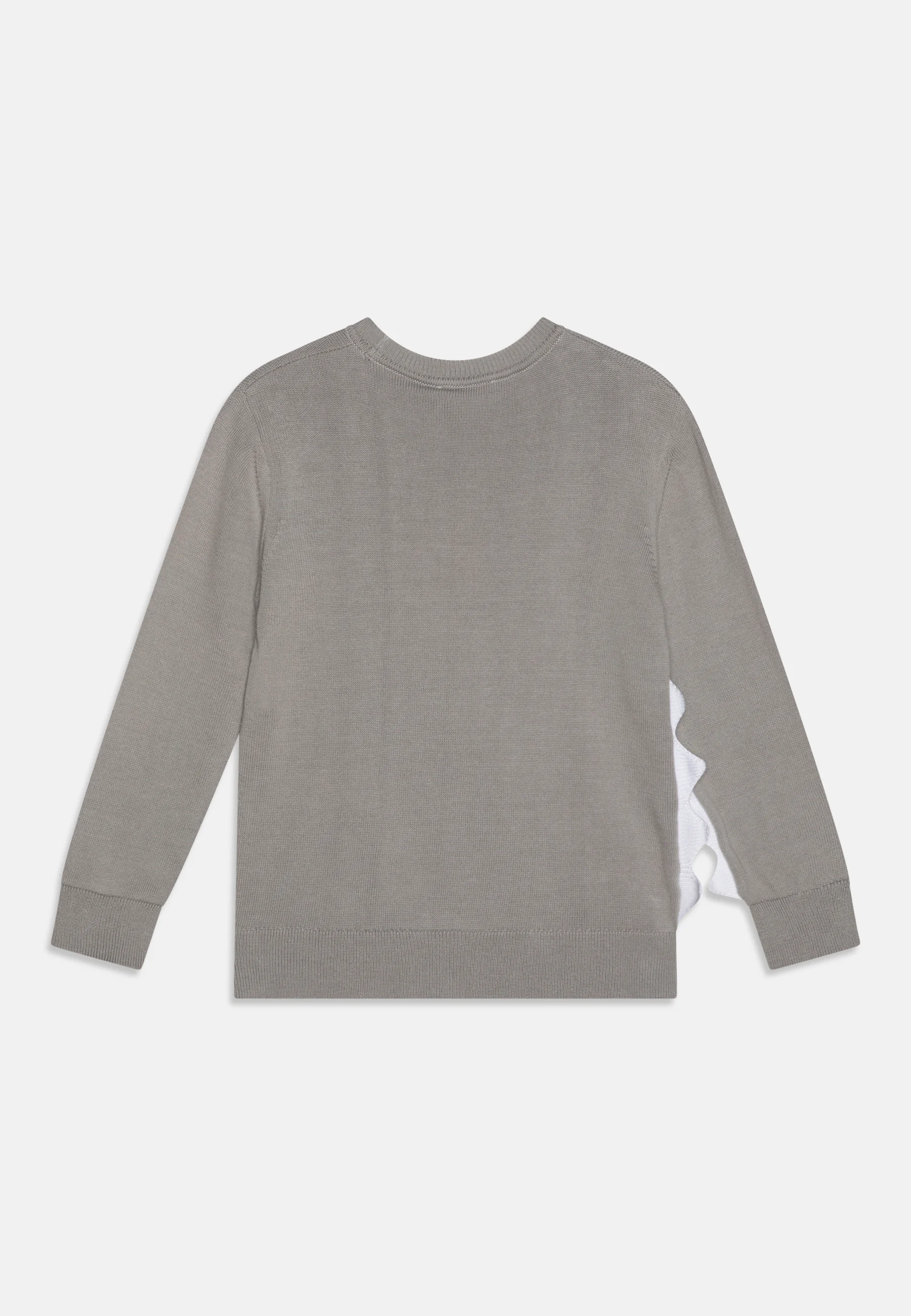 Stella McCartney Kids JUMPER BOY - Suéter