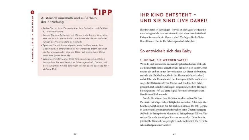 Das Papa-Handbuch
