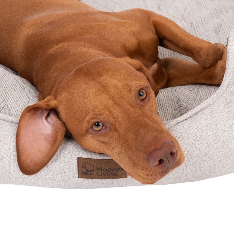 Modern Living Hundebett Phoenix zu TOP-Preisen