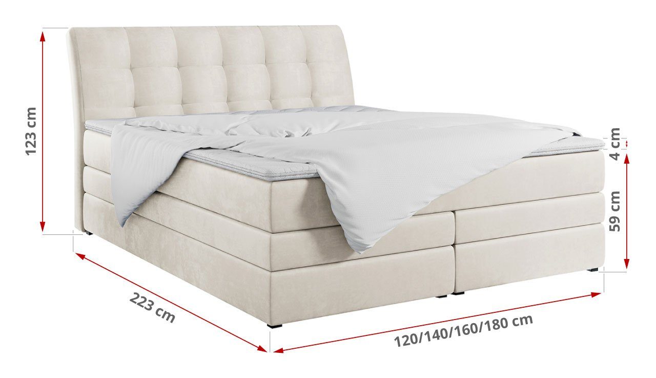 MKS MÖBEL Boxspringbett GOLD 10 KING, Polsterbett mit Bettkasten und Zwei Matratzen - Stauraumbett