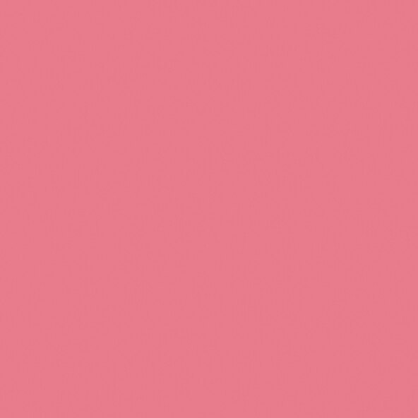 Farbenfreunde No. 16 Korallenpink, 2,5l