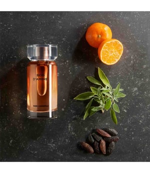 Karl Lagerfeld Bois d'Ambre Eau de Toilette-50 ml