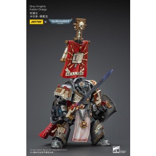 Warhammer 40k Actionfigur: Grey Knights - Kaldor Draigo