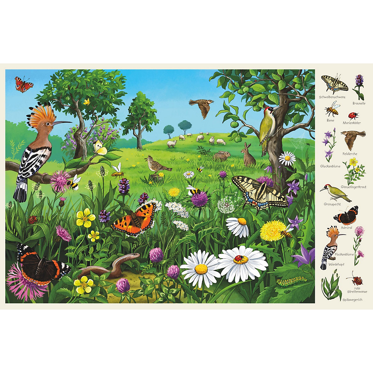 Mein großes Wimmelbuch Natur