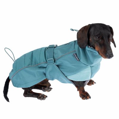 Nomad Tales Spirit Softshell-Hundemantel Pacific