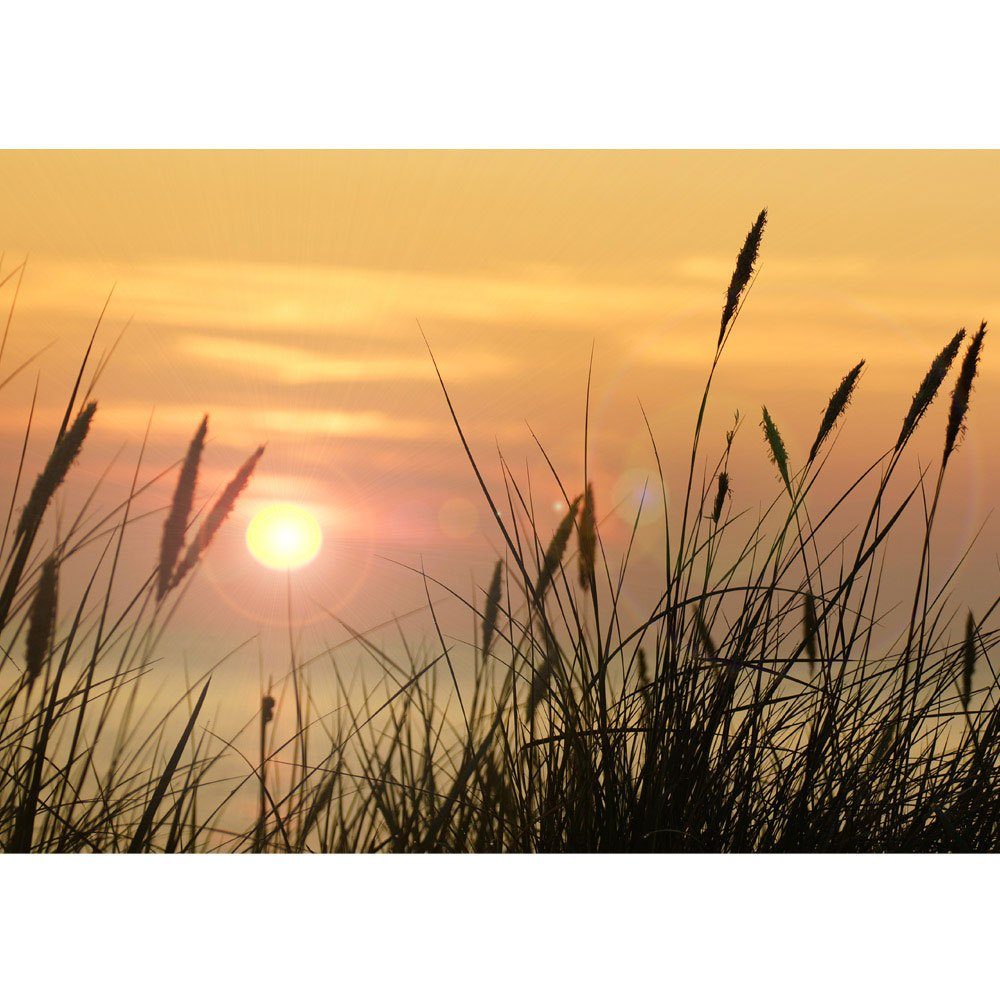 liwwing Fototapete Fototapete Sonnenaufgang Sonne Feld Romantisch liwwing no. 206, Pflanzen