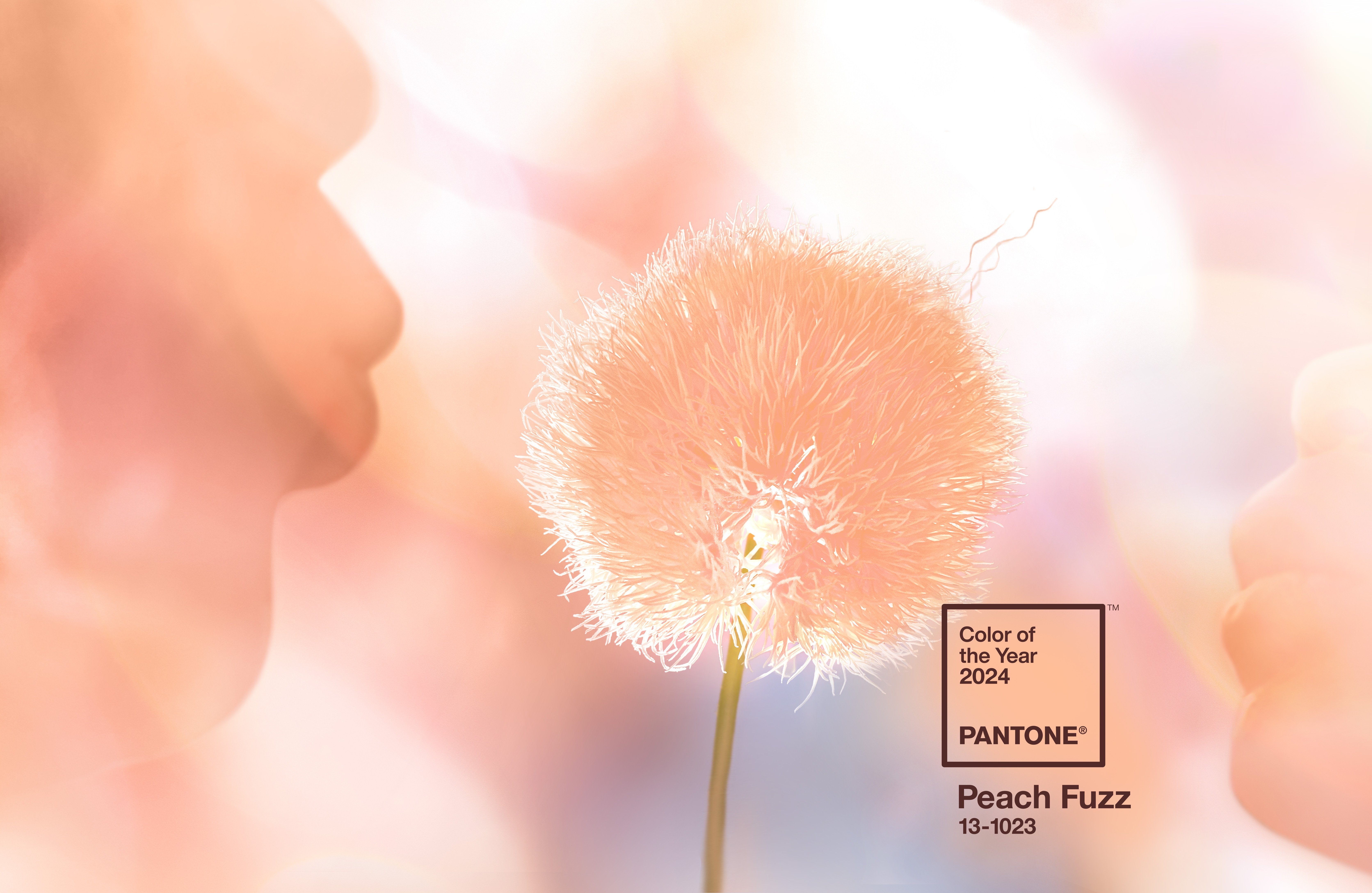 PANTONE Schlüsselanhänger Schlüsselband, CoY 2024 Peach Fuzz 13-1023, Farbe des Jahres 2024