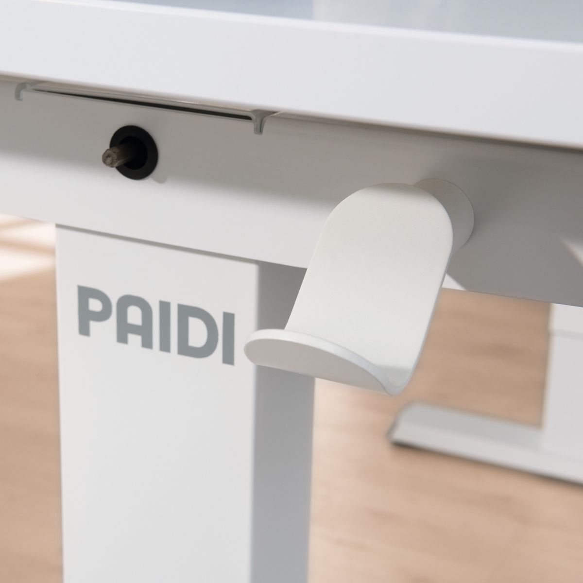 Paidi Kinder Schreibtisch Teenio 120