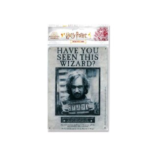 Harry Potter Blechschild Have You Seen This Wizard 15 x 21 cm
