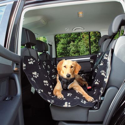 Trixie Friends on Tour Auto-Schondecke