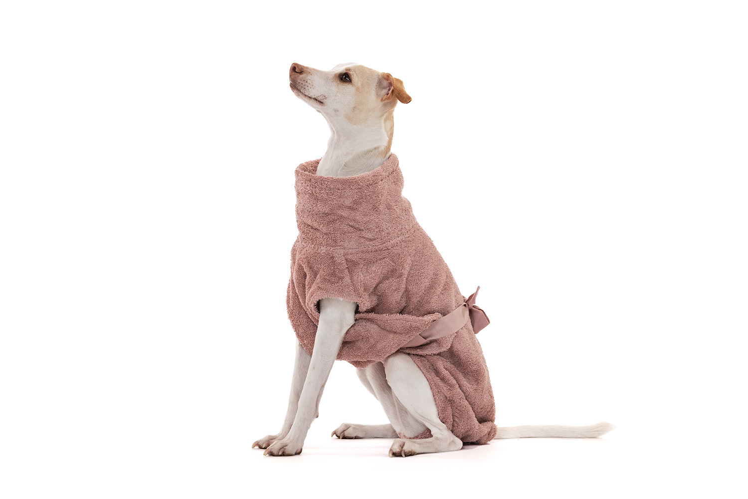 Lills Hundemäntel Lills Lill's Hundebademantel 