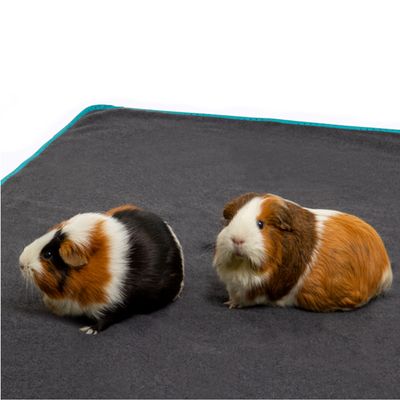 Bunny Bedding Easy