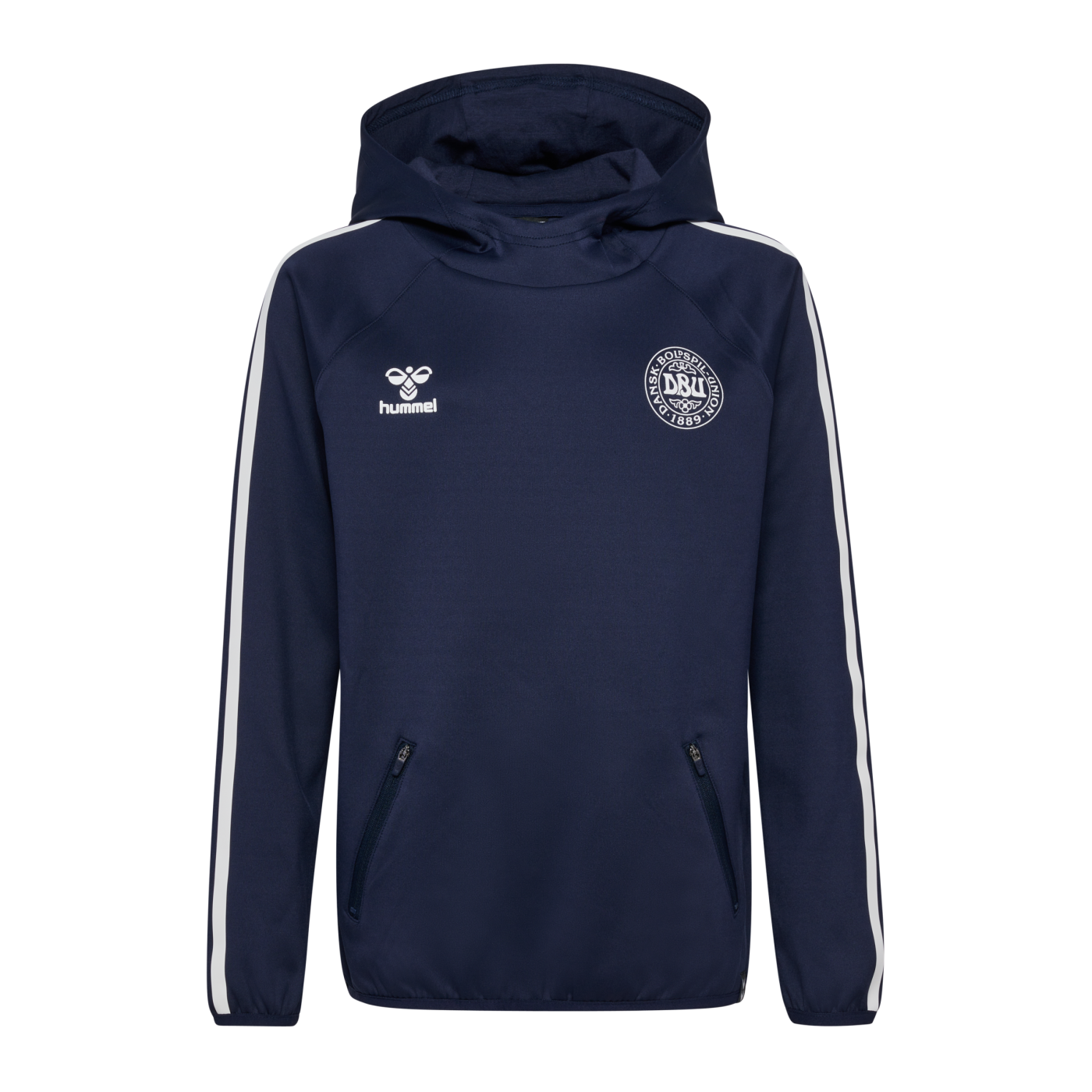 Hummel Dänemark Travel Hoody EM 2024 Kids Blau F7026