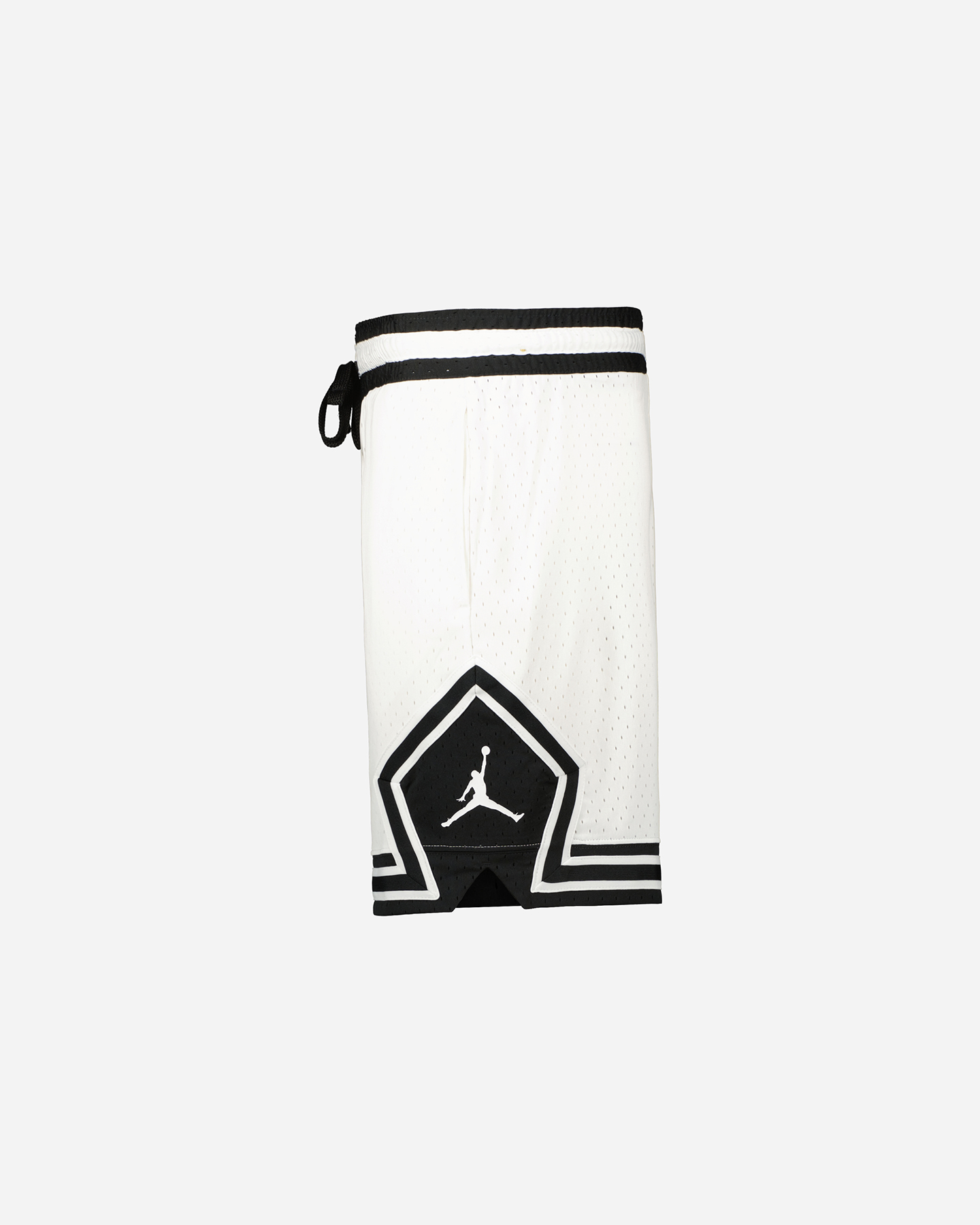 Pánske nohavice Nike Jordan Sport M DX1487-100
