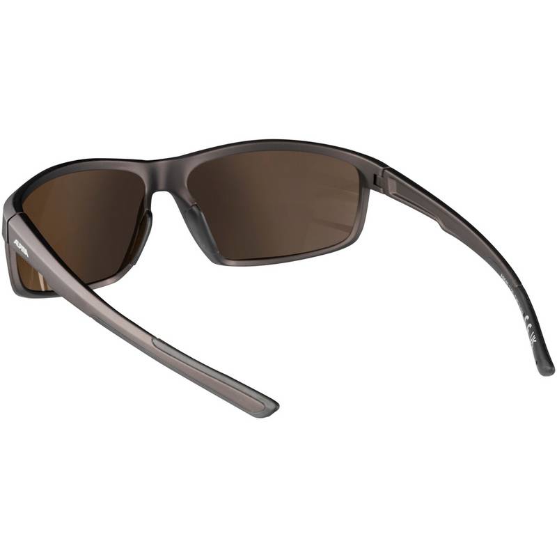 ALPINA DEFEY Sportbrille