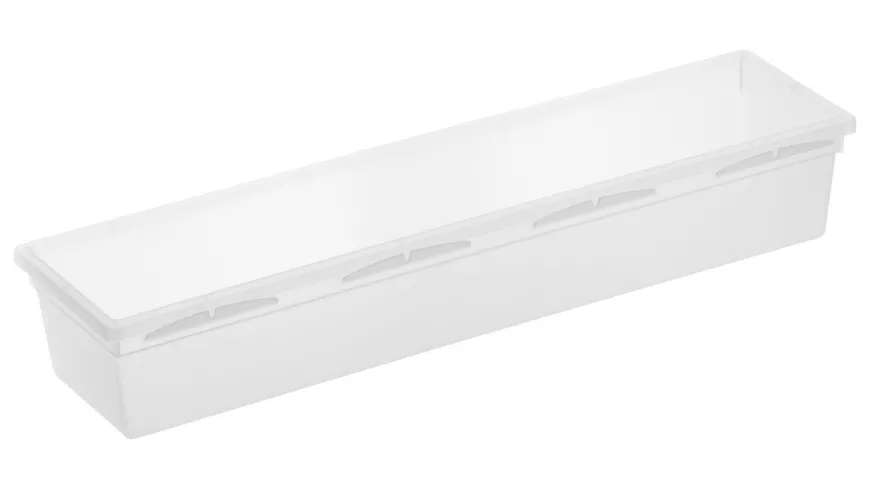 rotho Ordnungssystem 30 cm