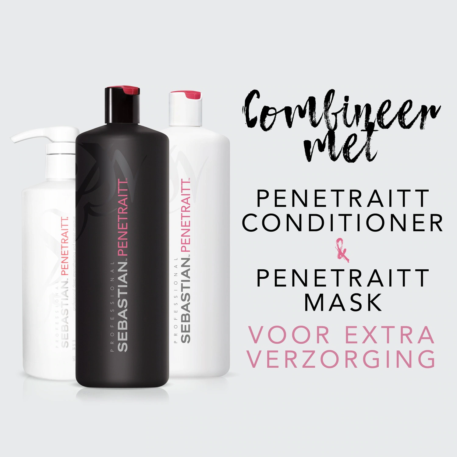 Sebastian Reinforcement and Repair