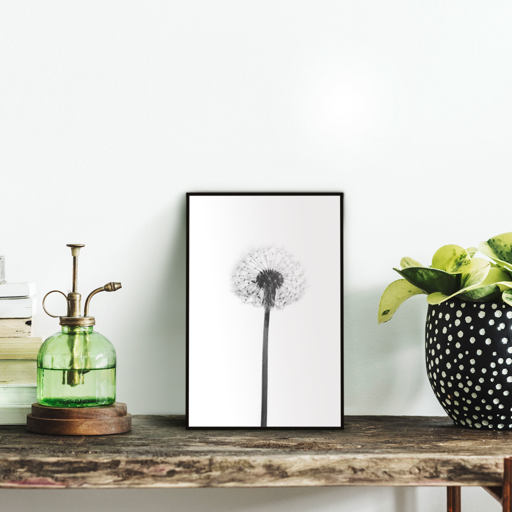 Rahmenbild Pusteblume